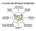 The causes of dysbiosis in the intestines. Colon. Bacteria pathogenic flora. Infographics. Vector