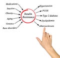 Causes and effects of Insulin Resistance