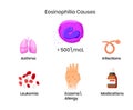 Causes of the eosinophilia. Diagram showing most popular disorders causing rised eosinophils