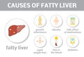 Causes of fatty liver