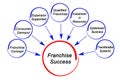 Causes of Franchise Success