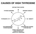 Causes of high thyroxine. Thyroid hormone thyroxine chemical molecular formula. Infographics. Vector illustration on