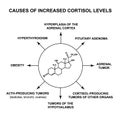 Causes of increased cortisol levels. The stress hormone cortisol is a chemical molecular formula. Infographics. Vector