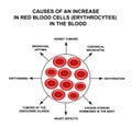 Causes of increased red blood cells. Cells erythrocytes. Hemoglobin. The structure of red blood cells. Infographics