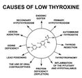 Causes of low thyroxine. Thyroid hormone thyroxine chemical molecular formula. Infographics. Vector illustration on Royalty Free Stock Photo