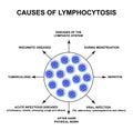 Causes of lymphocytosis. The increase in lymphocytes in the blood. Cell killers. Immunity Helper Cells. Infographics