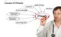 Causes of Obesity