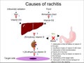 Causes of rachitis