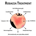 Causes of rosacea. Rosacea Awareness Month. Infographics. Vector illustration on isolated background.