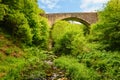 Causey Arch and Burn in Springtime Royalty Free Stock Photo