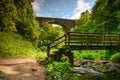 Causey Arch Footbridge and Burn Royalty Free Stock Photo