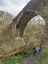 Causey Arch, Tyne & Wear, Tanfield Railway Royalty Free Stock Photo