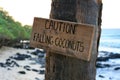 Caution falling coconuts Royalty Free Stock Photo