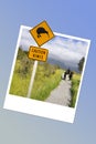 Caution kiwi road sign in New Zealand, instant photo frame Royalty Free Stock Photo