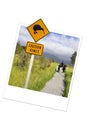 Caution kiwi road sign in New Zealand Royalty Free Stock Photo