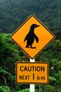 Caution Penguins Royalty Free Stock Photo