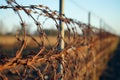 Cautionary barbed wire on fence, signaling restricted access, secure boundary