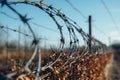 Cautionary barbed wire on fence, signaling restricted access, secure boundary