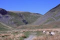 Cautley Spout in the Howgill Fells, Cumbria. Royalty Free Stock Photo