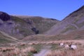 Cautley Spout waterfall, Howgill Fells, Cumbria Royalty Free Stock Photo
