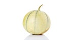 Cavaillon melon, close-up Royalty Free Stock Photo