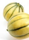 Cavaillon Melon, cucumis melo, Fruit against White Background Royalty Free Stock Photo