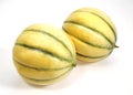Cavaillon Melon, cucumis melo, Fruit against White Background Royalty Free Stock Photo