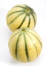 Cavaillon Melon, cucumis melo, Fruits on White Background Royalty Free Stock Photo