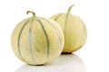 Cavaillon melons, close-up Royalty Free Stock Photo