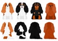 Cavalier dogs 4 color variations