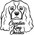 Cavalier King Charles head with name