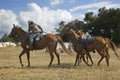 Cavalry Dismounts Royalty Free Stock Photo