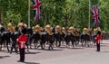 Cavalry horses taking part in the Trooping the Colour military parade at Horse Guards, Westminster, London UK Royalty Free Stock Photo