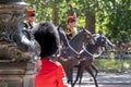 Cavalry horses taking part in the Trooping the Colour military parade at Horse Guards, Westminster, London UK Royalty Free Stock Photo