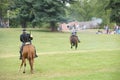 Cavalry skirmishing Royalty Free Stock Photo