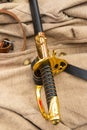 Cavalry sword of the times of the civil war of 1861-1865, the black gold handle of the guardia against the background of a soldier