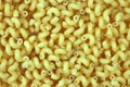 Cavatappi Royalty Free Stock Photo
