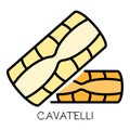 Cavatelli pasta icon color outline vector