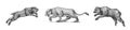 Cave bear and lion. Panthera Saber toothed tiger. Prehistoric mammals. Extinct animal. Vintage animal. Retro Mammals