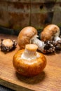 Cave brown champignon mushrooms ready to eat Royalty Free Stock Photo
