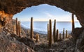 Cave on the Cactus island in Uyuni Salt desert