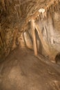 Cave Column from Lehman Cave Royalty Free Stock Photo