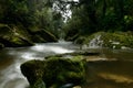 Cave Creek Paparoa National Park New Zealand Royalty Free Stock Photo