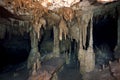 Cave Dive (Cenotes) Royalty Free Stock Photo