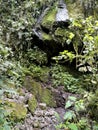 Cave in Ecuador 844511