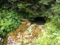 Cave entrance, Apuseni mountain. Romania Royalty Free Stock Photo