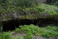 Cave entrance in the rock in the forest