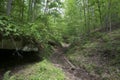 Cave entrance in the woods Royalty Free Stock Photo