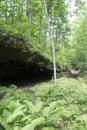 Cave entrance in the woods Royalty Free Stock Photo