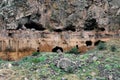 Cave entrances in Ashtarak canyon, Armenia Royalty Free Stock Photo